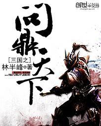 三国之问鼎天下全集