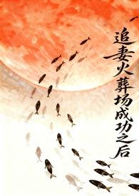 追妻火葬场失败之后乃