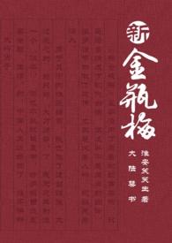 新金瓶梅讲了啥