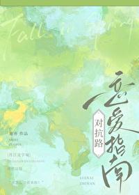 对抗路细节