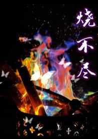 烧不尽(1v1)最新章节_
