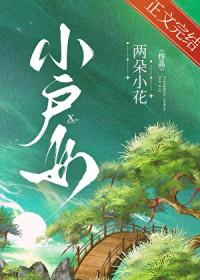 小户女的青云路TXT