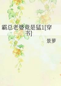 霸总宠妻之路无弹窗