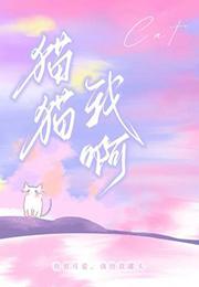 猫咪啊猫咪