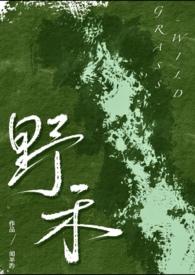 伪兄妹pop文