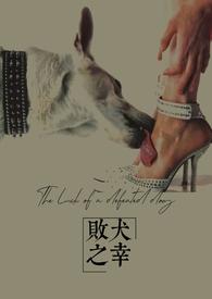 败犬是啥意思