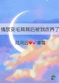 情敌变成了我的猫怎么办!
