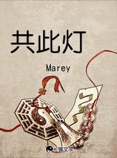 共此灯bymarey免费阅读