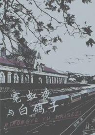 霓虹夜晚高清完整版