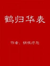 鹤归华表怎么用