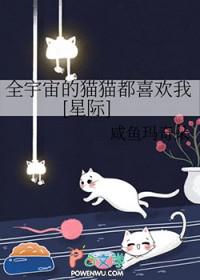 4. 全宇宙都在追我