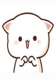 撸猫 游戏