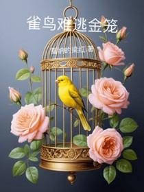 鸟雀难相觅什么意思