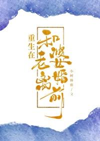 重生在和老婆离婚前by小树撞鹿笔趣阁