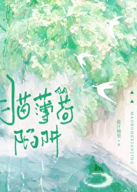 猫薄荷陷阱by