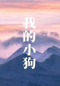 我的小狗好看吗