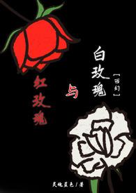 红玫瑰和白玫瑰经典语录