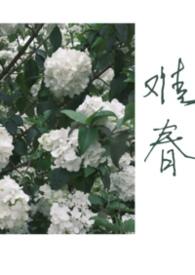 难兄难妹完整版