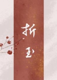 折玉补玉txt