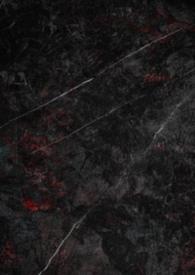 娇妻养成日记免费