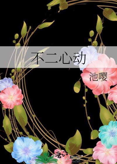 不二 追剧