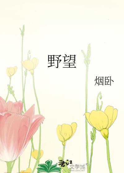 野望体裁