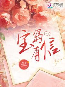 宝岛公司