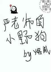 严老师的小野狗攻受