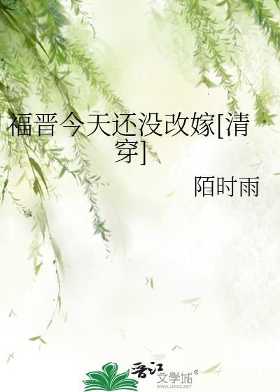 清穿福晋改嫁指南