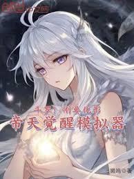 帝天觉醒模拟器在线