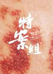 特殊案件调查组系列