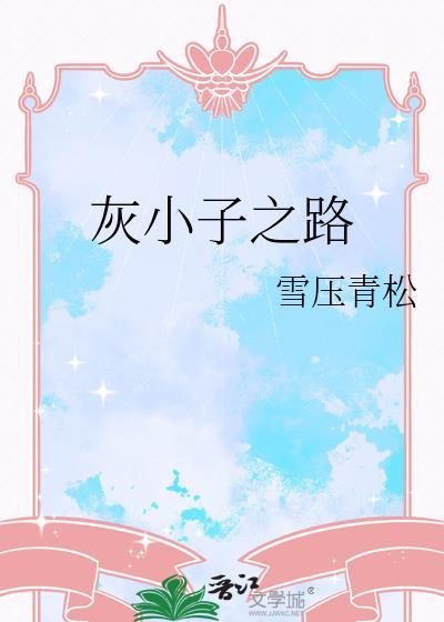灰小子之路全文txt