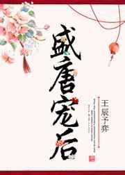 盛宠王妃唐诗全文免费阅读 百度