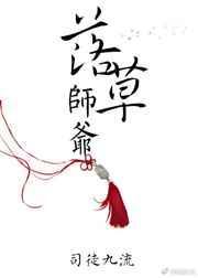 落草师爷司徒九流TXT百度