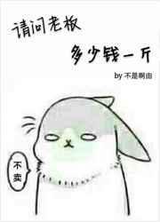 老板这个多少钱一斤