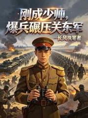 民国少帅军阀