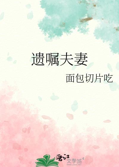 遗嘱夫妻在线阅读