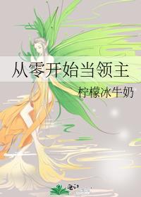 从0领民开始的领主 轻