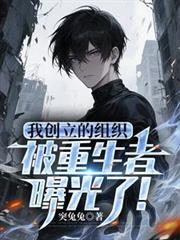 主角创建组织的