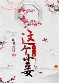 这个小妾不一般无防盗
