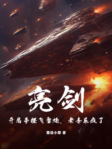 穿越亮剑李飞